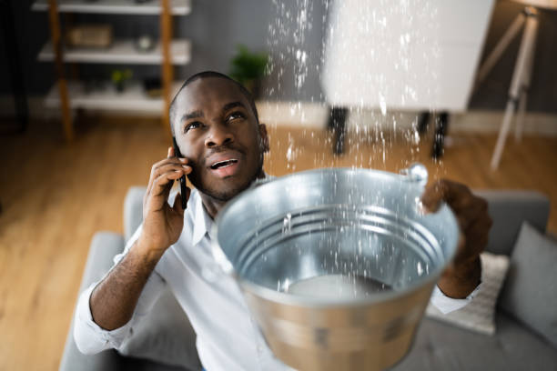  Joshua Tree, CA Water damage restoration Pros