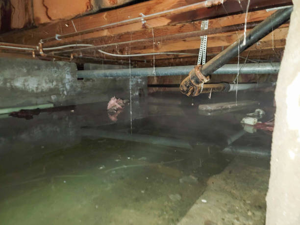 Best Emergency water damage restoration  in Joshua Tree, CA
