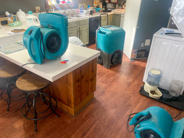 Best Water damage cleanup near me  in Joshua Tree, CA