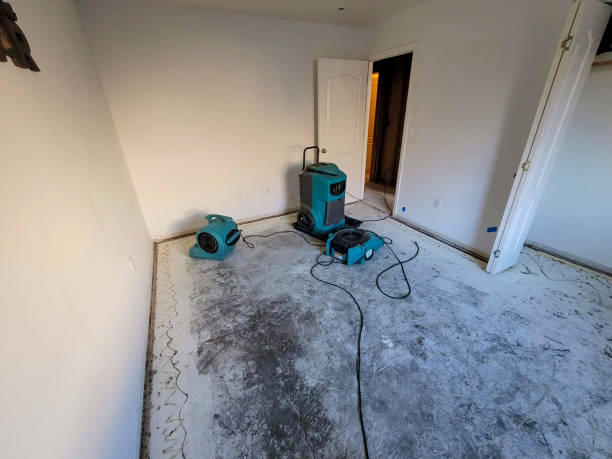 Best Water damage cleanup near me  in Joshua Tree, CA