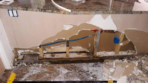 Best Ceiling water damage repair  in Joshua Tree, CA