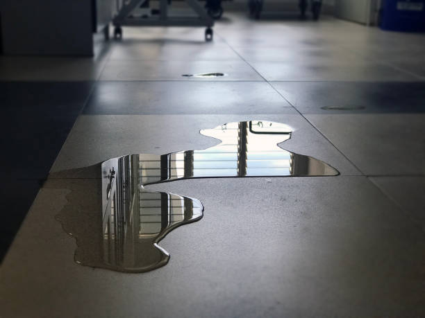 Best 24-hour water damage restoration  in Joshua Tree, CA