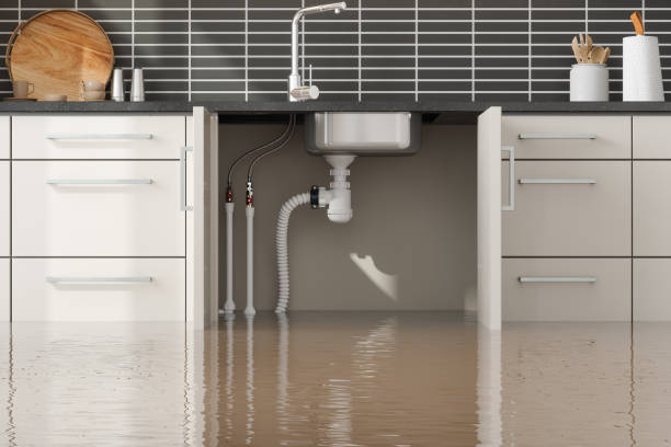 Best Residential water damage restoration  in Joshua Tree, CA